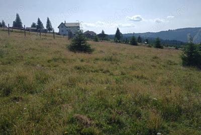 Teren de 8640 mp, în Beliș - 1