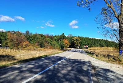 TEREN INTRAVILAN ȘI EXTRAVILAN BAIA DE FIER - 9