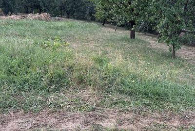 Spațiu comercial, în Cihei - 9