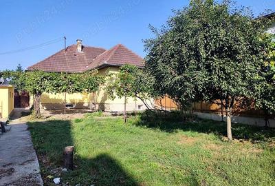 Brasov - casa, garaj, curte si gradina, disponibila imediat. - 4