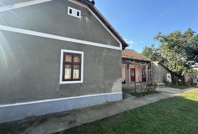 Casa de vanzare in Tisa Noua, teren generos - 4