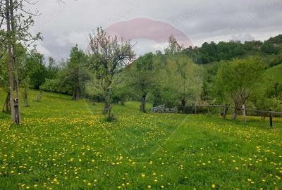 Teren de 1000 mp, în Bran - 5