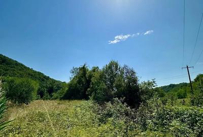 Teren de 2900 mp, în Zam - 3
