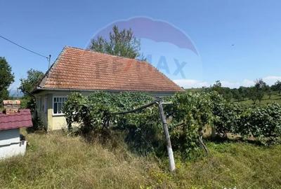 Casă cu 3 camere cu Teren 3760 Mp în Arieșu de Pădure - 9