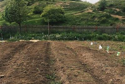 Transilvania Camping,domeniu de 14.400mp,Sanmarghita de Mures:2cladiri, apartame - 49