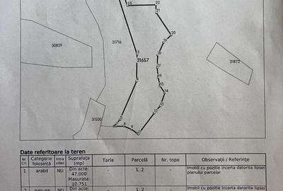 Teren extravilan de 47000 mp, în Sichevița - 2