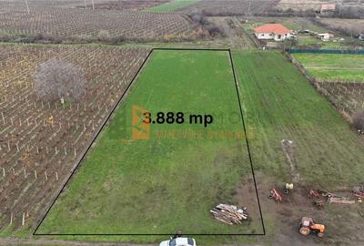 Teren Construcții intravilan de 3888 mp, în Merei - 1