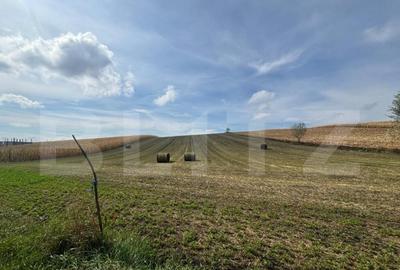 Teren de 7800 mp, în Central