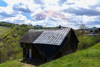 Teren de 5694 mp, în Moieciu - 8