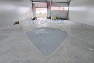 Spațiu comercial, de 200 mp, în Industriilor - 6