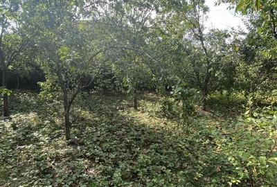 Teren intravilan de vanzare, 900 mp, Dej - 6