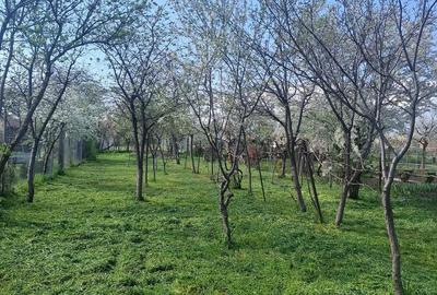 Casă cu Teren 590 Mp în Central - 2