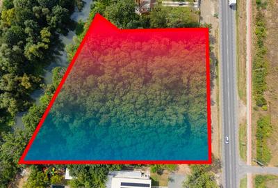 Teren 7.500 mp cu FS 91 m la E70 si Bega - ideal dezvoltare servicii - 4