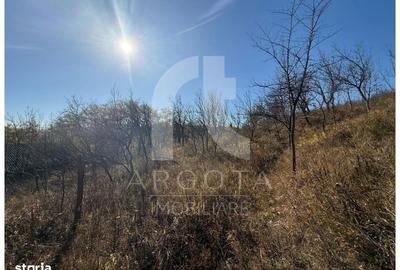 Spațiu comercial, în Valea Banului - 9