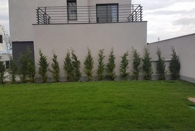SCOALA AMERICANA | VILA INDIVIDUALA CU 7 CAMERE | COMPLEX REZIDENTIAL - 17