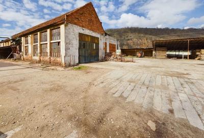 Spațiu industrial, de 1,280 mp, în Șoimoș - 3