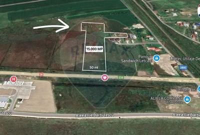 Teren Construcții intravilan de 15000 mp, în Dumești - 2