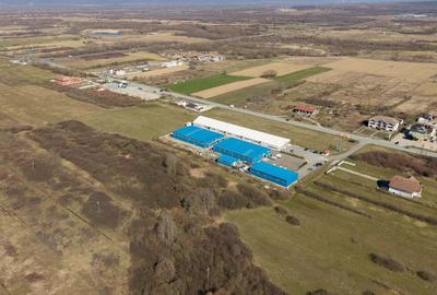 Teren agricol extravilan de 7194 mp, în Păltiniș - 16