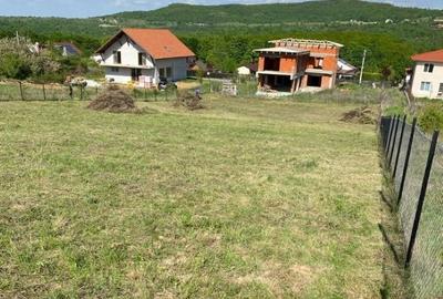 Teren Construcții extravilan de 1711 mp, în Sălicea - 4