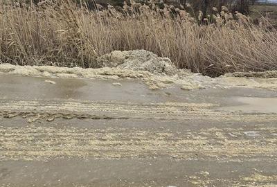 Spațiu comercial, în Petrești - 6