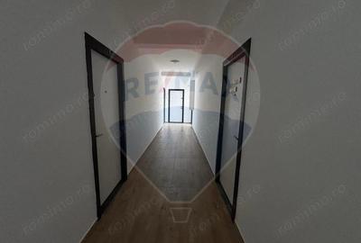 Spa?ii de Birouri, de Inchiriat Zona Io?ia - 8