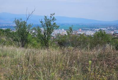 Teren exclusivist cu vedere panoramica - 6