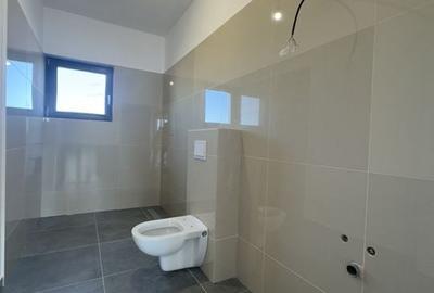 Duplex despartit prin camera Tehnica, Mosnita Noua-Valery - 6