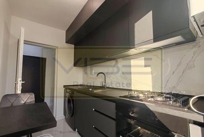 Lunca Cetatuii-Ciurea- Bloc nou- intabulat - preluare chi... - 14