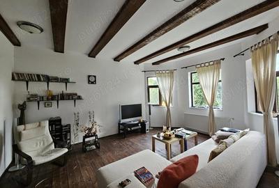 Casă cu 5 camere cu Teren 6842 Mp în Brădetu - 6