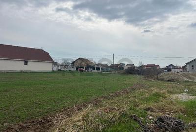 RECO IMOBILIARE,TEREN Cihei - 3