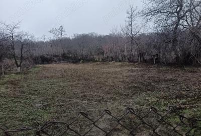 Vand casa Perieni - 5