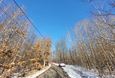 Teren intravilan, situat in Scoarta, sat Pistestii din Deal - 3