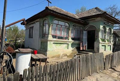 Casă cu Teren 2000 Mp în Valea Fetei - 4