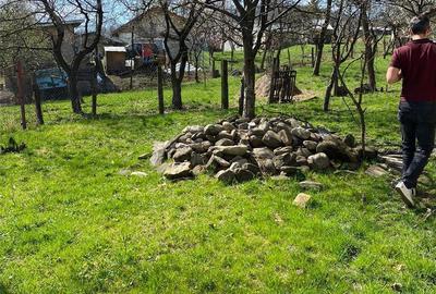 Teren de 1716 mp, în Breaza de Jos - 7