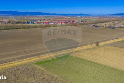 Spațiu comercial, în Bod - 7