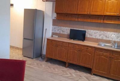 Apartament cu 2 camere semidecomandat în Parava - 4