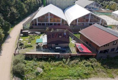 Teren pentru Vila in Bunloc: Oportunitate Premium - 6