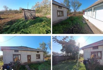 Casă cu 3 camere cu Teren 1484 Mp în Havârna - 9