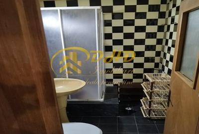 Apartament 4 camere Podu Ros - 19