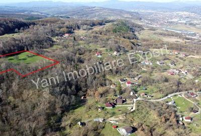 Teren 13.643 mp intravilan de vanzare in Curtea de Arge?. Teren 13.643 mp intravilan de vanzare in Curtea de Arge?. - 2