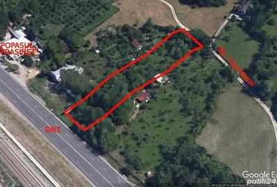 Teren de 2600 mp, în Frăsinet - 1