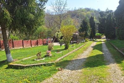 Casa de Vacanta - Un Colt de Rai , Stefanesti-Arges - 11