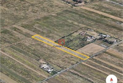 Teren de 8950 mp, în Măgurele - 3