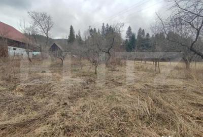 Casă cu 4 camere cu Teren 2500 Mp în Putna - 8