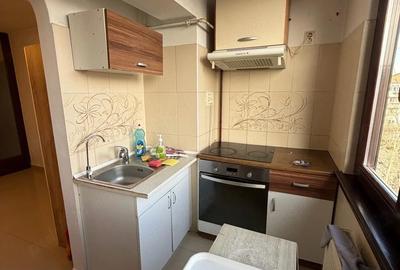 Apartament cu 3 camere decomandat în Mehala - 9