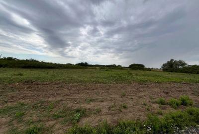 Teren de 1002 mp, în Moșnița Nouă - 6