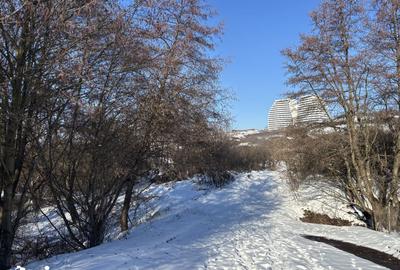 Teren de 700 mp, în Câmpului - 1