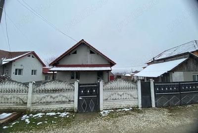 Casă cu 3 camere cu Teren 10000 Mp în Central - 1