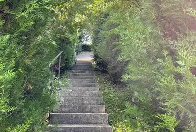 Casa de vacanta cocheta in Cornu renovata 2023! - 4