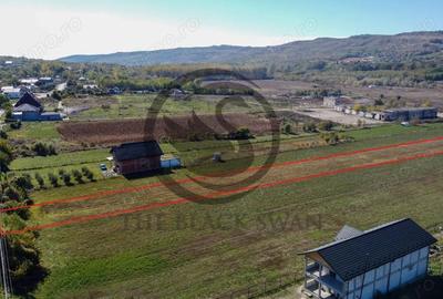 Teren intravilan de vanzare | 3.084mp | Plavia - Urlati | Comision 0% - 1